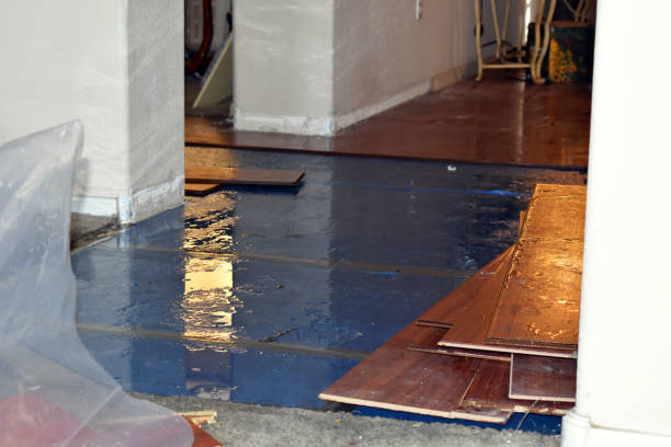 Professional Burst Pipe Water Damage technician working in Salvisa, KY